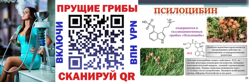 Псилоцибиновые грибы прущие грибы  мориарти как зайти  Ликино-Дулёво  omg как войти 